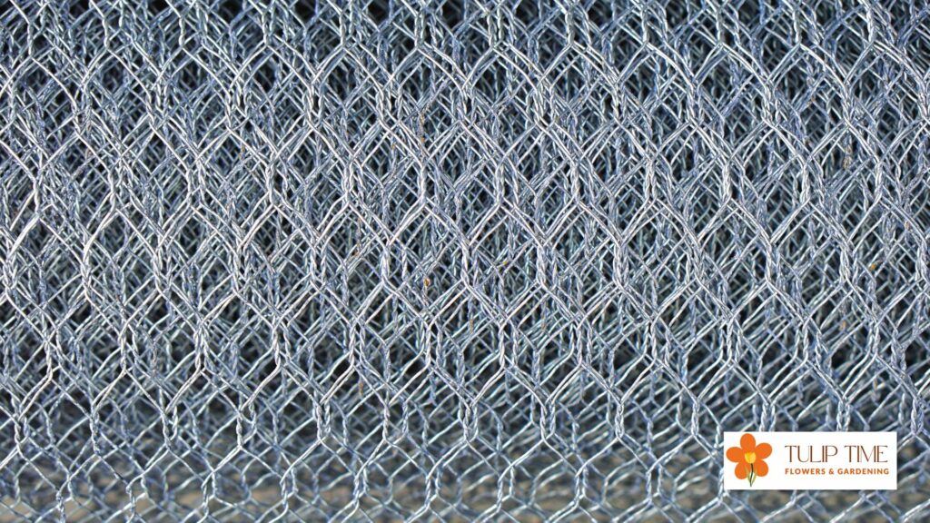 Cover Plants With Chicken Wire