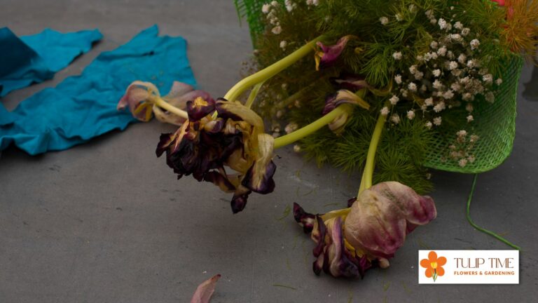 How To Dry Press Tulips