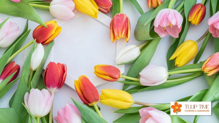 How To Dye Tulips