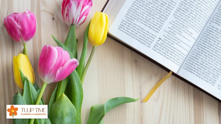 How To Keep Tulips From Opening