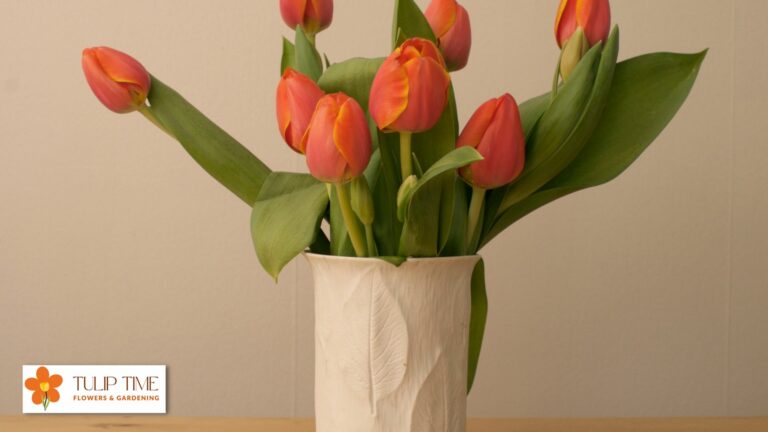 Caring For Tulips In Vase