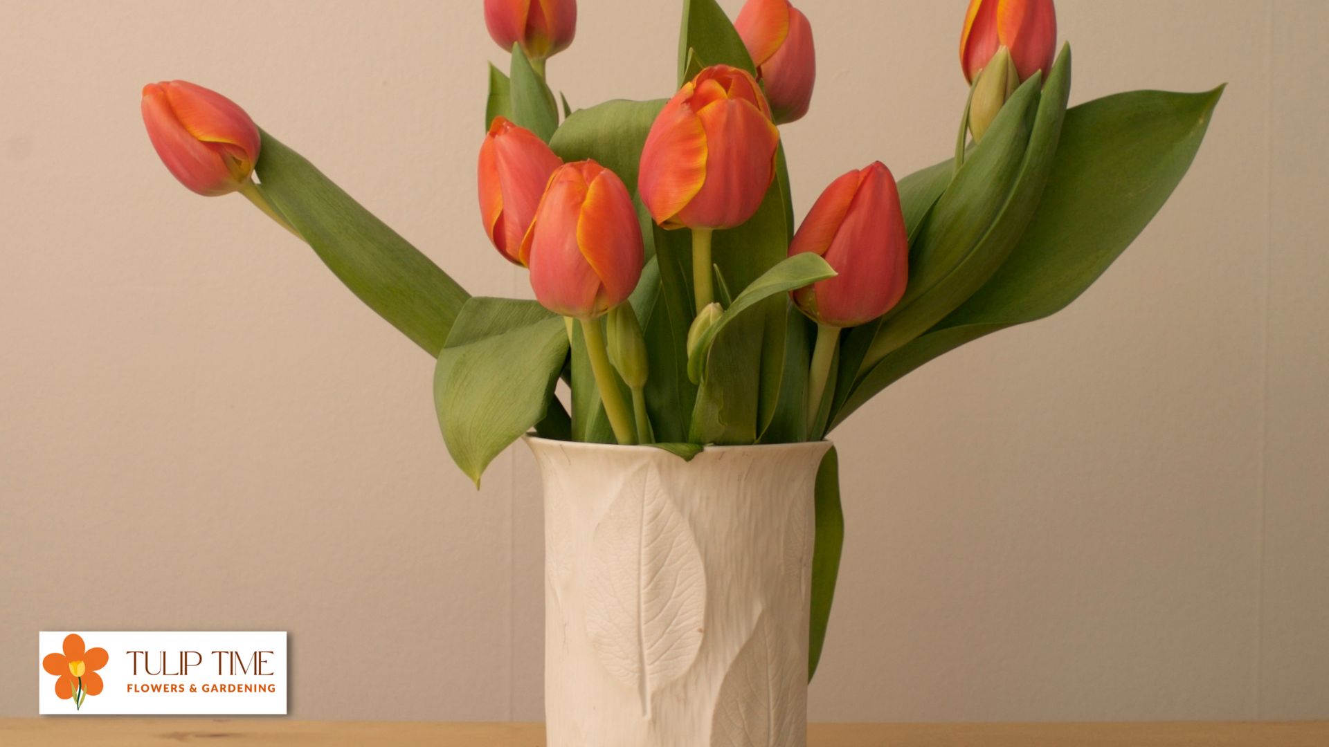 Tulips In Vase