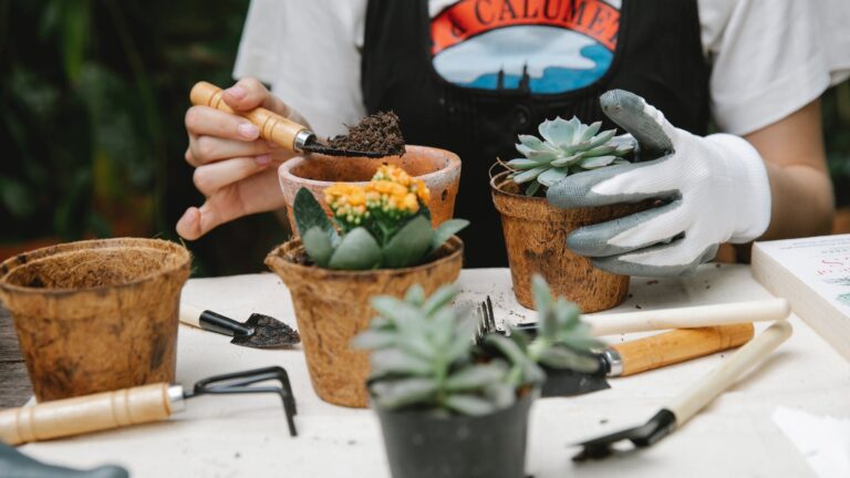 Which Plants Like Banana Peels?
