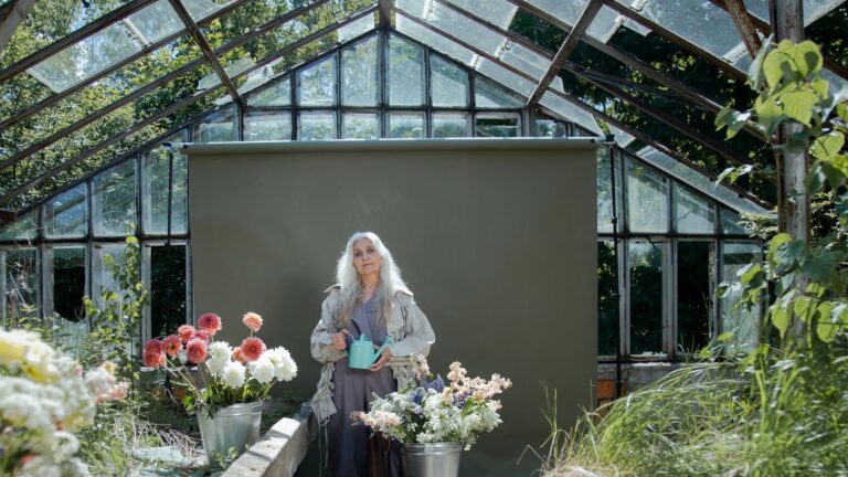 Should Begonias Be Watered From The Bottom?