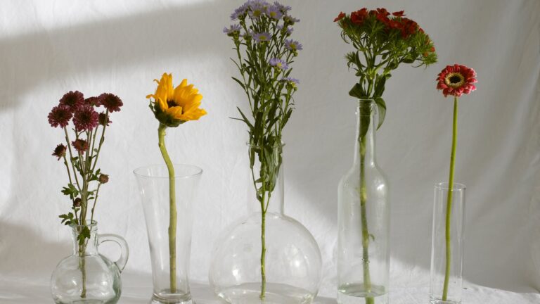 How do you keep daisies alive in a vase?