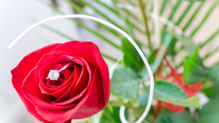 What does a daisy symbolize?