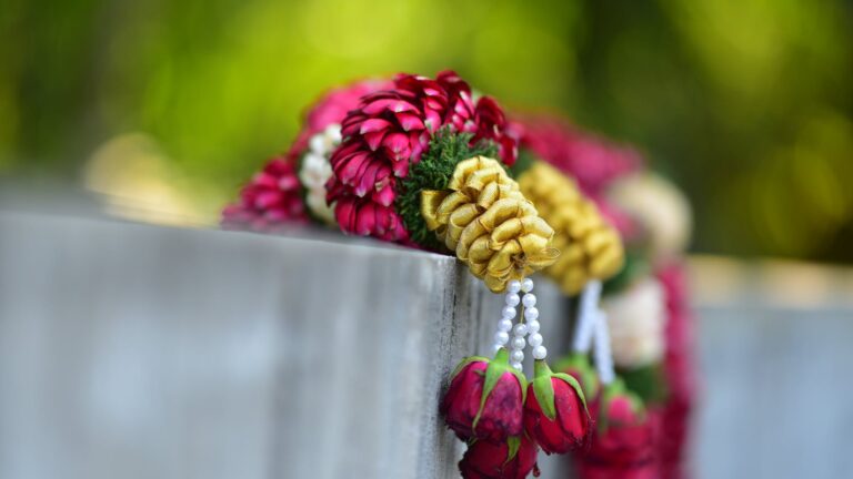 Can Dead Roses Come Back To Life?