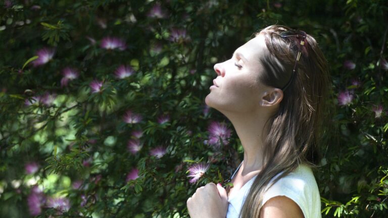 Do Lilies Purify The Air?