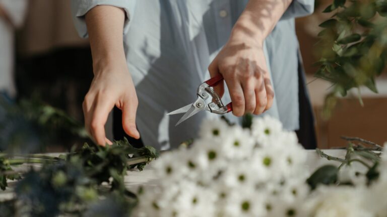 Should You Cut The Pods Off Lilies?