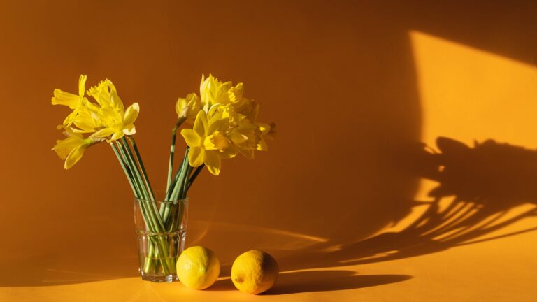 How do you revive lilies in a vase?
