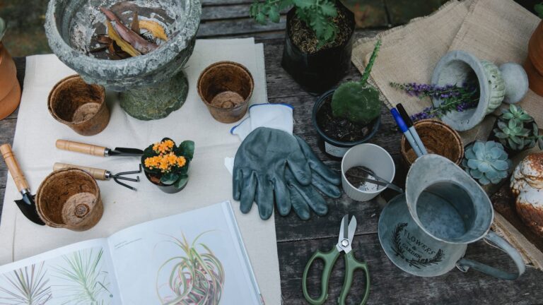 How to Keep Potted Begonias Blooming