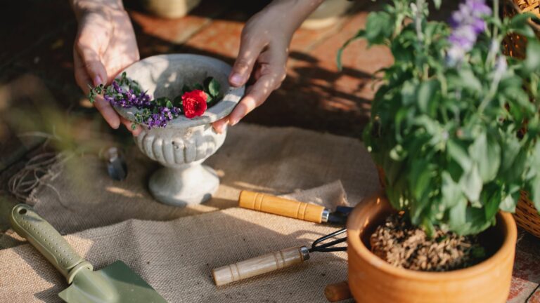 Do Rose Plants Need Big Pots?