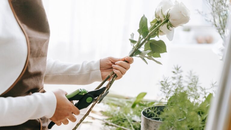 When Should You Throw Away Roses?