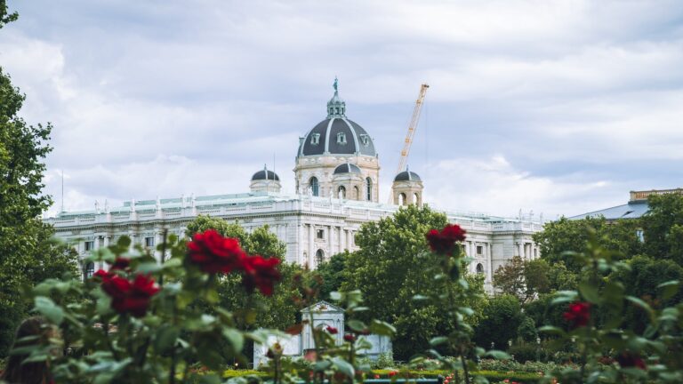 Should You Put Rocks Around Roses?