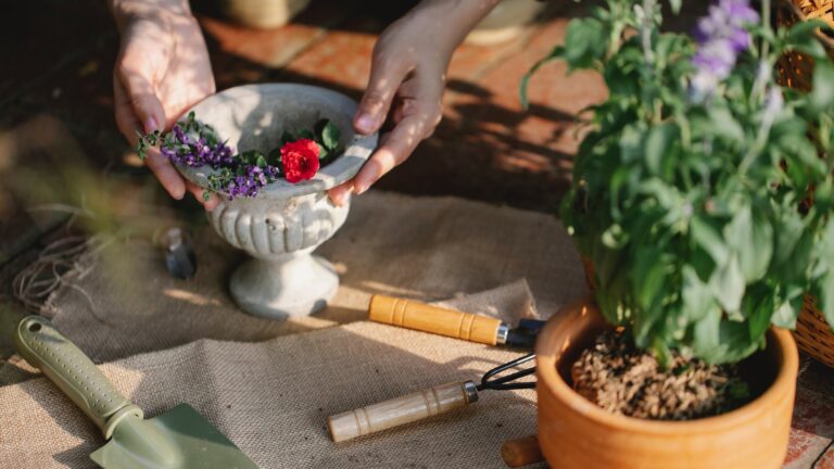 Can Roses Survive Winter In Pots?