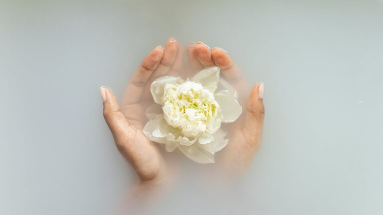 How Do You Care For A Stephanotis Indoors?