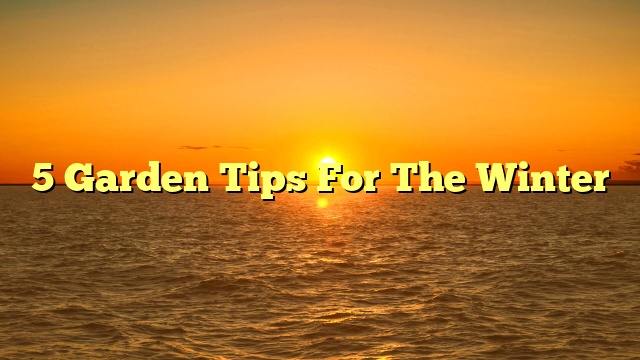 5 Garden Tips For The Winter